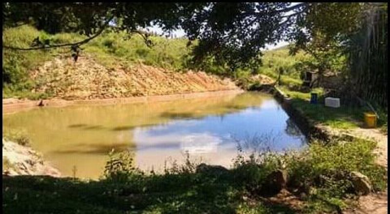 Candiota Imóveis - Sapucaia do Sul / RS