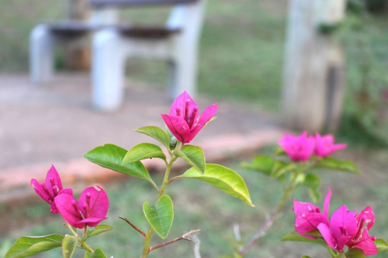 Candiota Imóveis - Sapucaia do Sul / RS