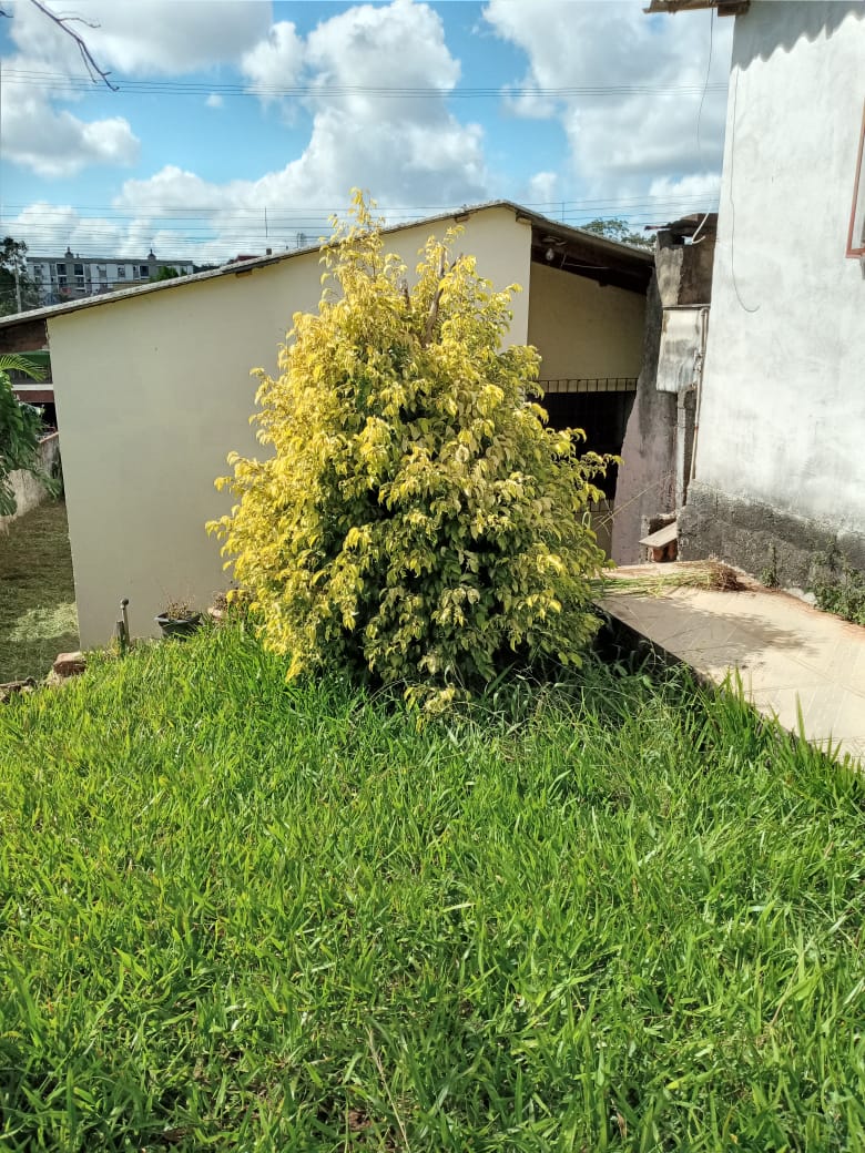 Candiota Imóveis - Sapucaia do Sul / RS