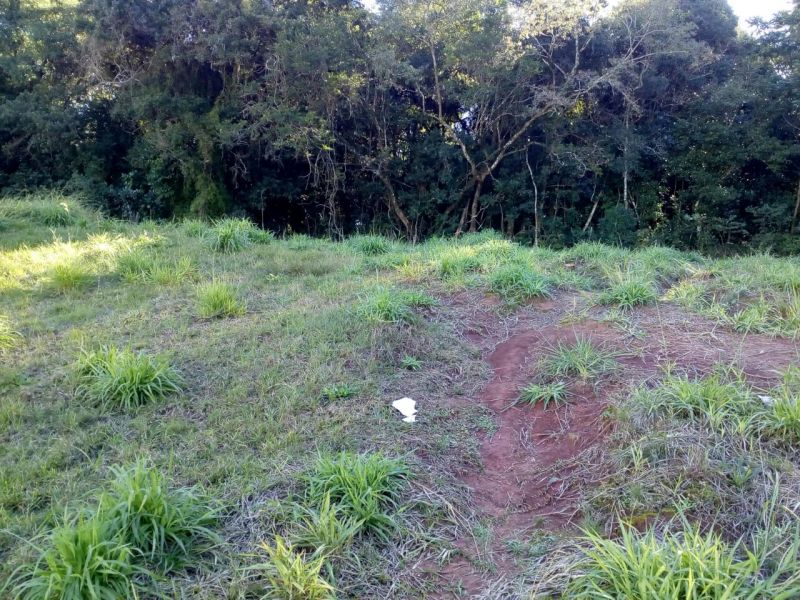 Candiota Imóveis - Sapucaia do Sul / RS