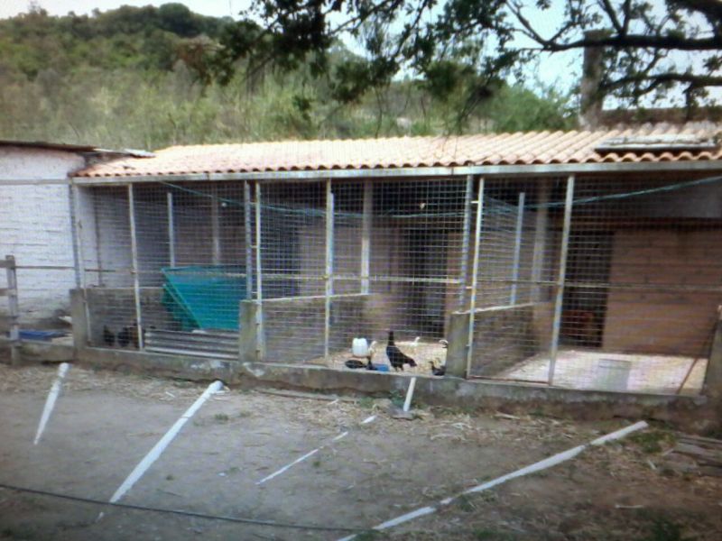 Candiota Imóveis - Sapucaia do Sul / RS