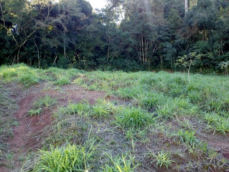 Candiota Imóveis - Sapucaia do Sul / RS