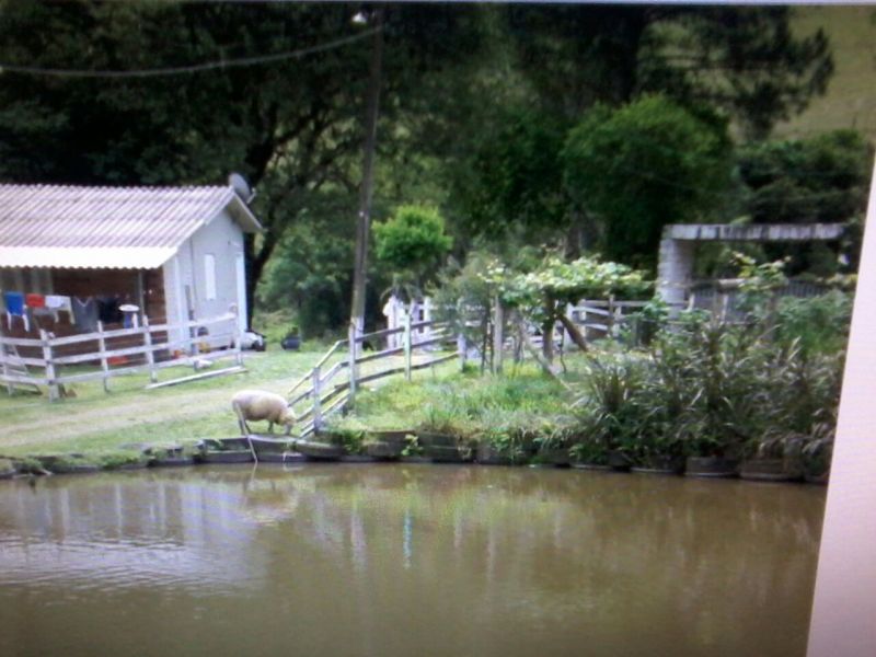 Candiota Imóveis - Sapucaia do Sul / RS