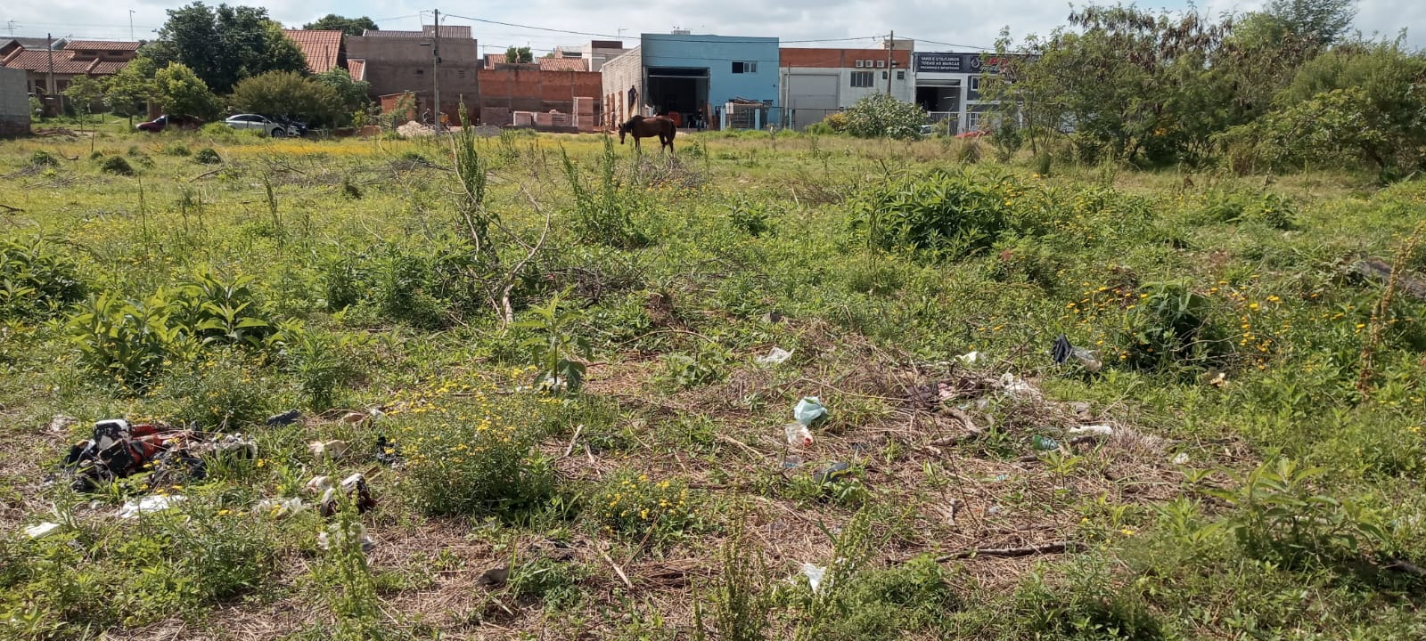 Candiota Imóveis - Sapucaia do Sul / RS