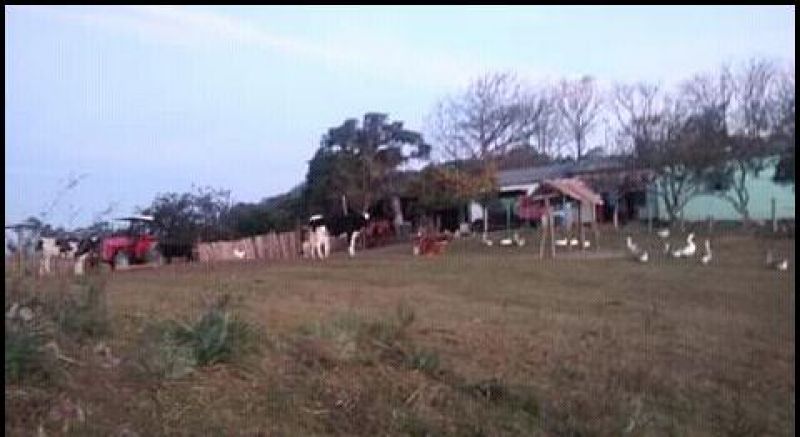 Candiota Imóveis - Sapucaia do Sul / RS