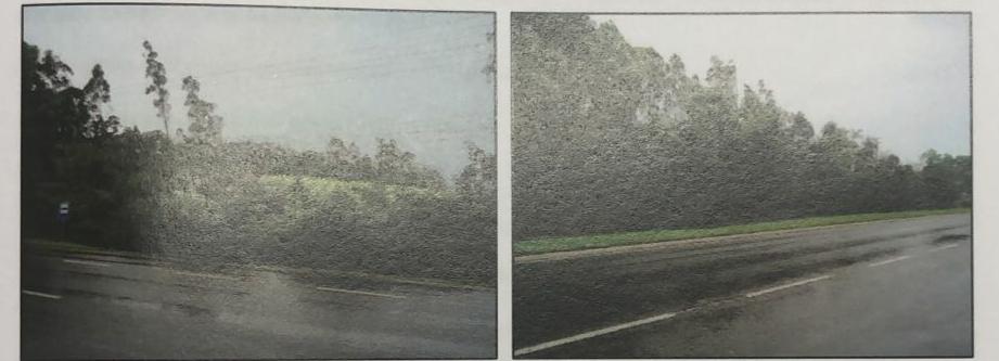 Candiota Imóveis - Sapucaia do Sul / RS