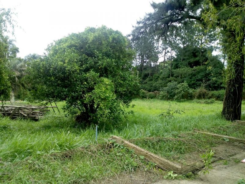 Candiota Imóveis - Sapucaia do Sul / RS