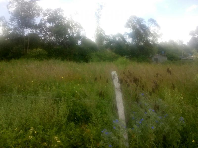 Candiota Imóveis - Sapucaia do Sul / RS