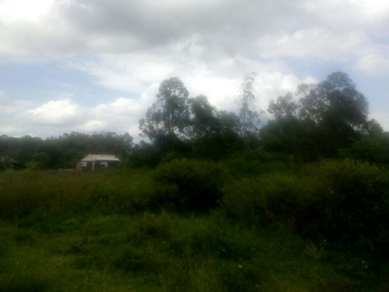 Candiota Imóveis - Sapucaia do Sul / RS