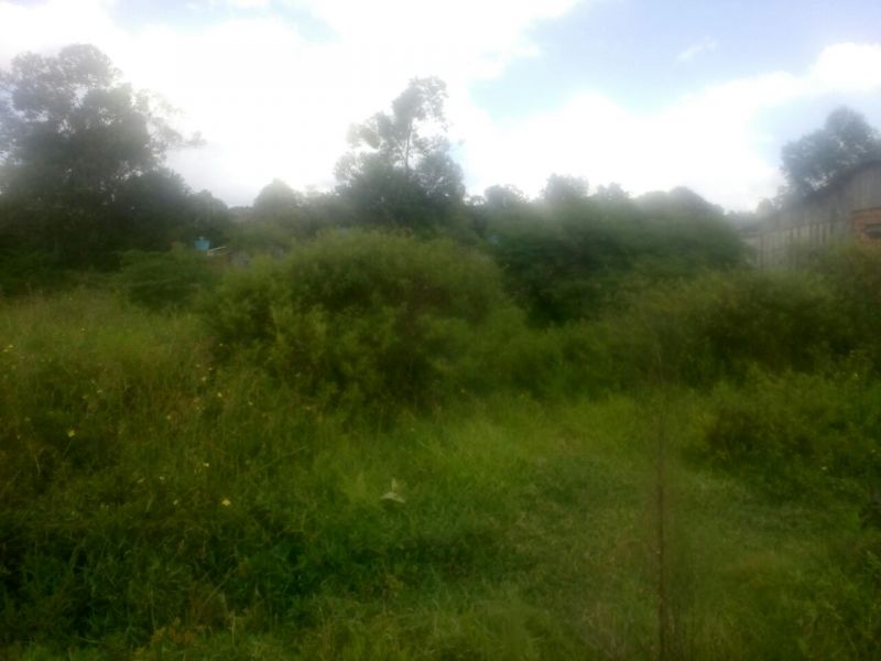 Candiota Imóveis - Sapucaia do Sul / RS