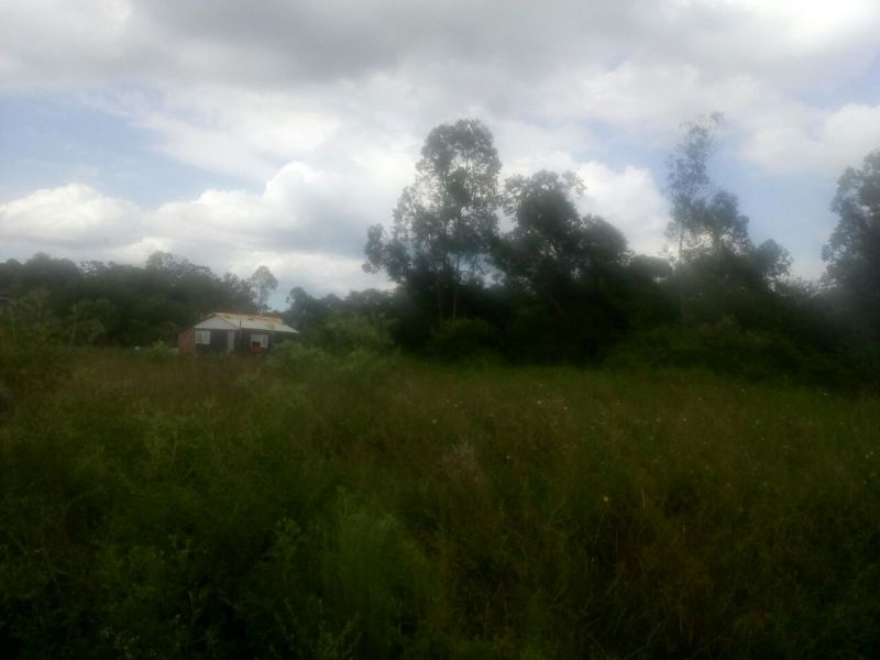 Candiota Imóveis - Sapucaia do Sul / RS