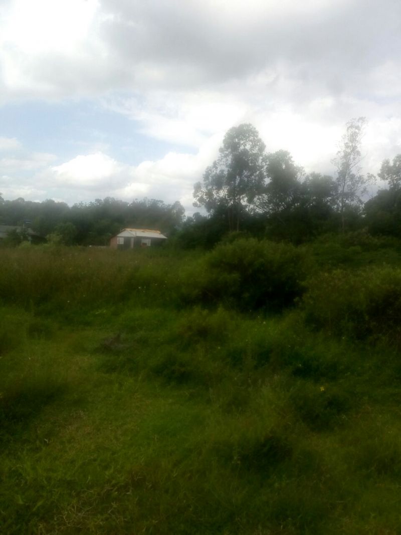 Candiota Imóveis - Sapucaia do Sul / RS