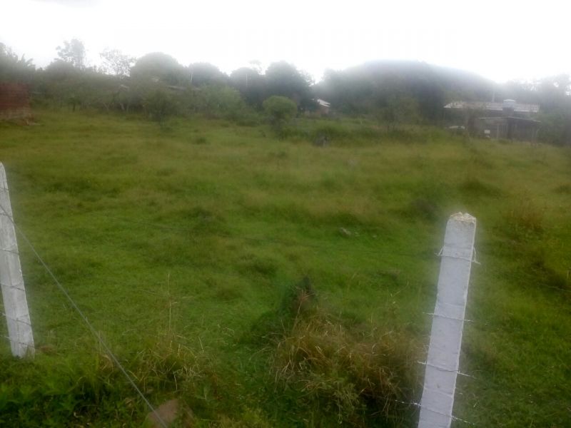 Candiota Imóveis - Sapucaia do Sul / RS