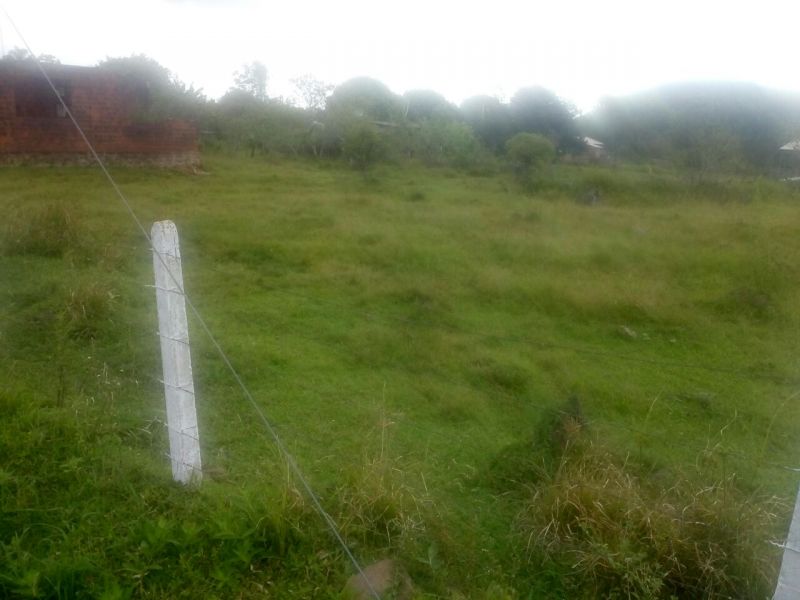 Candiota Imóveis - Sapucaia do Sul / RS