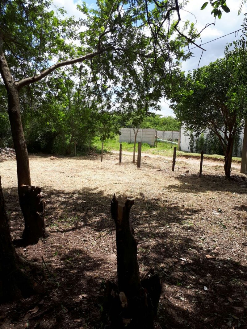 Candiota Imóveis - Sapucaia do Sul / RS