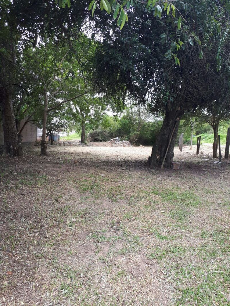 Candiota Imóveis - Sapucaia do Sul / RS