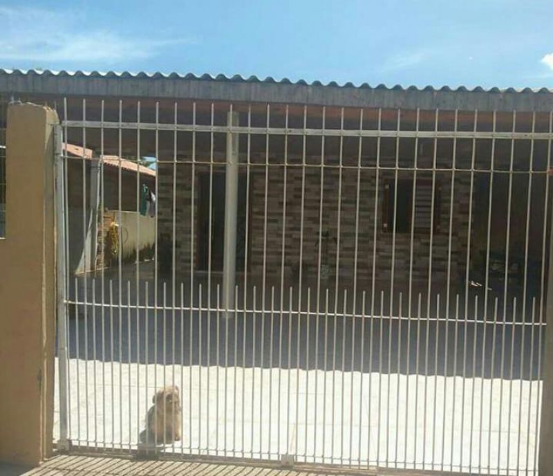 Candiota Imóveis - Sapucaia do Sul / RS