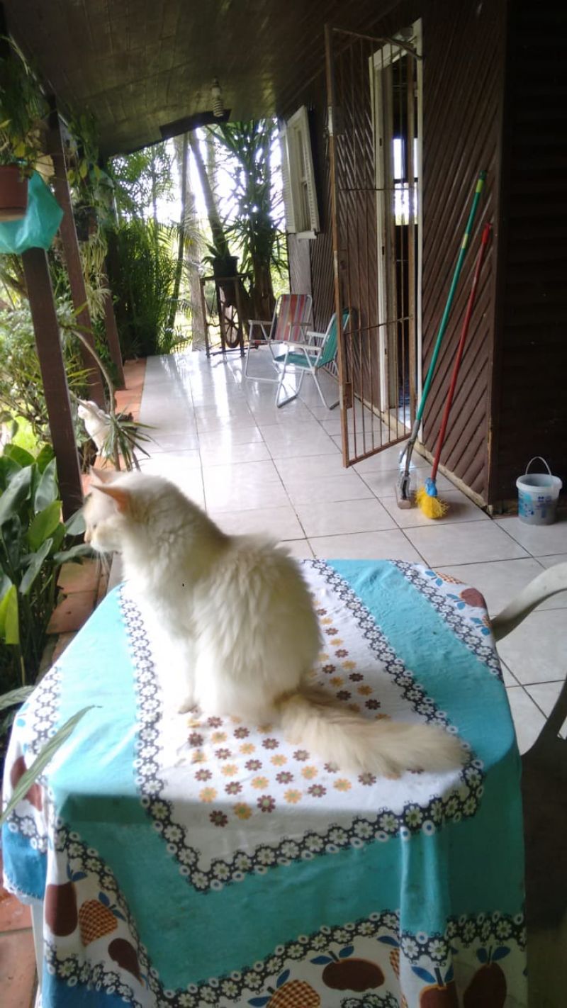 Candiota Imóveis - Sapucaia do Sul / RS