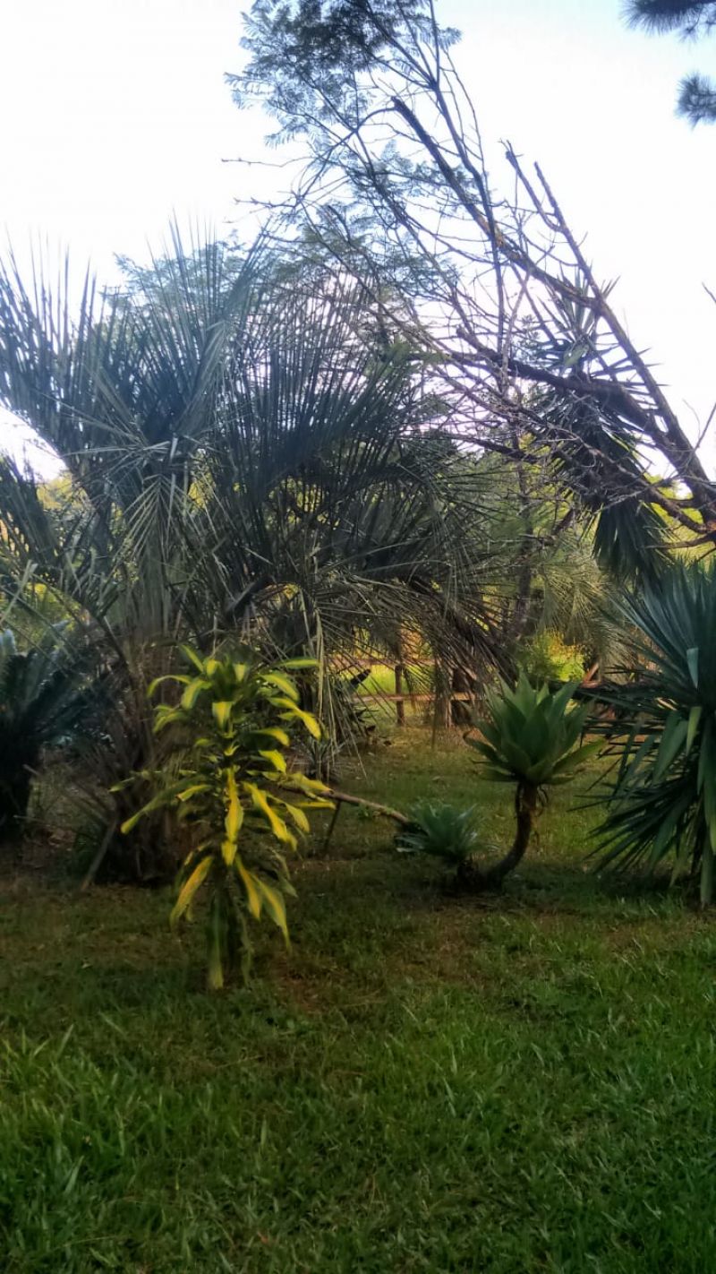 Candiota Imóveis - Sapucaia do Sul / RS