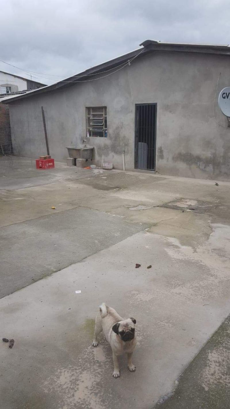 Candiota Imóveis - Sapucaia do Sul / RS