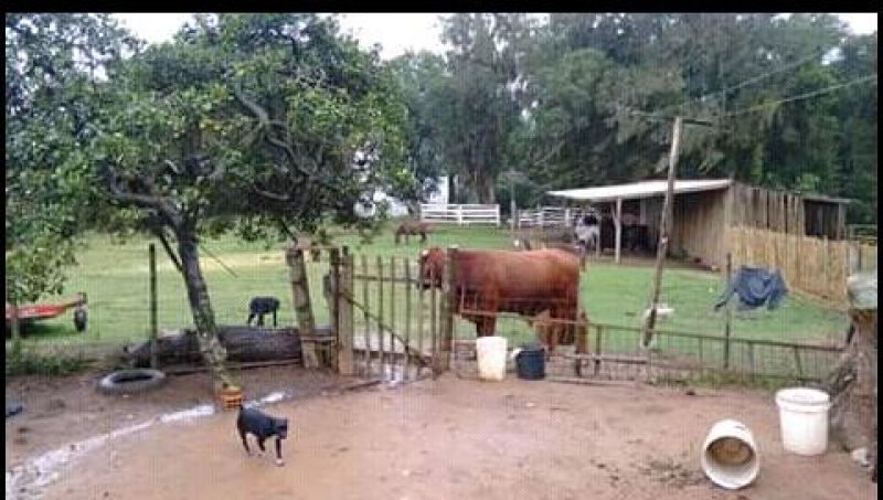 Candiota Imóveis - Sapucaia do Sul / RS