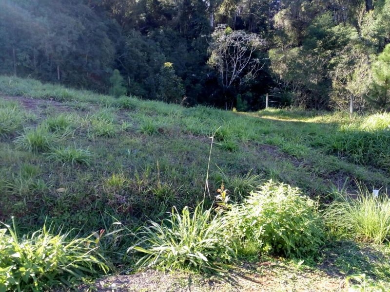 Candiota Imóveis - Sapucaia do Sul / RS