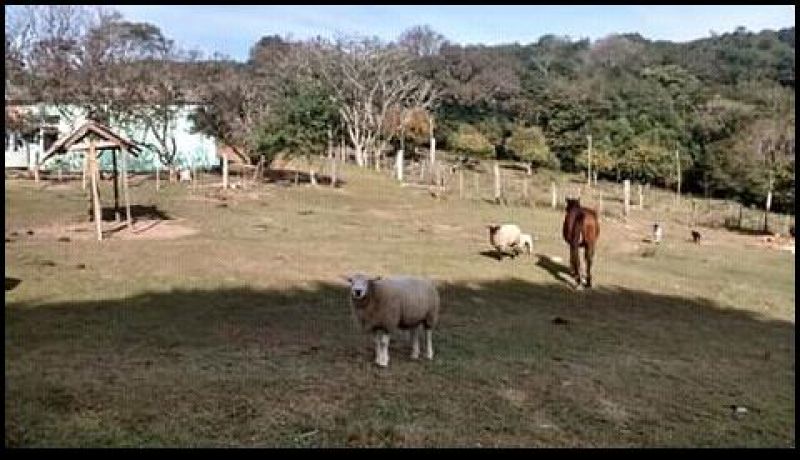 Candiota Imóveis - Sapucaia do Sul / RS