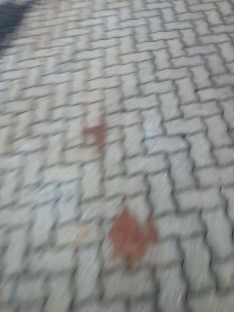 Candiota Imóveis - Sapucaia do Sul / RS