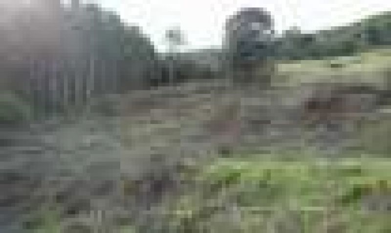 Candiota Imóveis - Sapucaia do Sul / RS