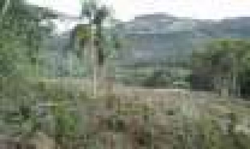 Candiota Imóveis - Sapucaia do Sul / RS