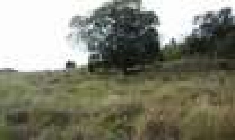 Candiota Imóveis - Sapucaia do Sul / RS